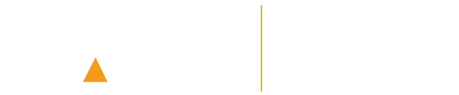 RACE Consultoria Empresarial